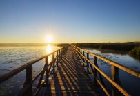 Passerella di legno al mattino — Foto stock