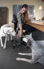 Sorridente giovane donna con cani in ufficio a casa — Foto stock