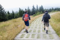 Germany, Harz, Brocken, back view of two friends hiking — Stock Photo