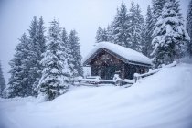 Австрия, заснеженный охотничий домик — стоковое фото