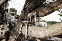 Wooden chair on tree trunk — Stock Photo