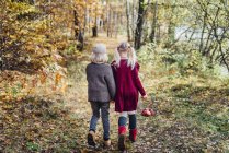 Гензель і Гретель, хлопчик і дівчинка, йдучи один в лісі — стокове фото