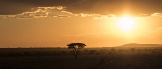 Namíbia, região de Kunene, por do sol sobre o campo — Fotografia de Stock