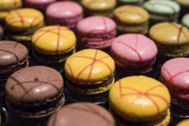 Auswahl an bunten Macarons — Stockfoto