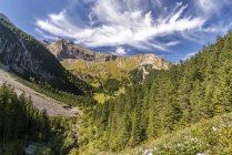 Austria, Vorarlberg, Brandner Valley durante il giorno — Foto stock