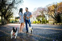 Pareja hablando mientras pasean a sus perros - foto de stock