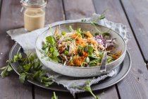 Rainbow salad with spinach leaves, peas, carrot, mung bean sprouts, quinoa, parsley, pea sprouts and red cabbage — Stock Photo