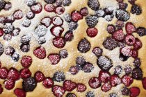 Close-up of Fruit cake with different berries — Stock Photo