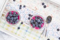 Zwei Gläser Haferflocken mit Blaubeeren und Beerensaft auf Holztablett — Stockfoto