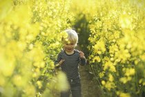 Menino no campo de canola amarelo — Fotografia de Stock