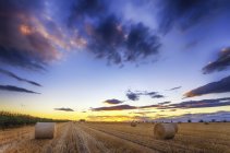 Scotland, East Lothian, hay bales on field at sunset — Stock Photo