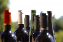 Primer plano de Fila de diferentes botellas de vino - foto de stock