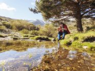 Spanien, Sierra de Gredos, ein Mann sitzt am Gebirgsbach unter Kiefern bei strahlendem Sonnenschein — Stockfoto