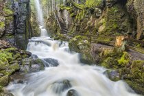 Deutschland, Baden-Württemberg, Menzenschwand, Wasserfall — Stockfoto