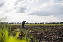 Farmer working in a field — Stock Photo