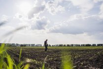 Farmer standing in a field — Stock Photo