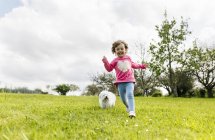 Sonriente niña corriendo en un prado con su perro - foto de stock