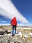 Spain, Sierra de Gredos, man hiking in mountains, rear view — Stock Photo