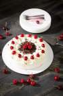 Black Forest Cake on blue cake stand and grey background — Stock Photo