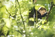 Girl in forest climbing in tree — Stock Photo
