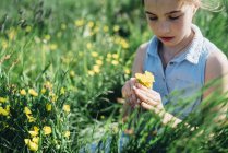 Girl picking flowers — Stock Photo