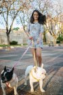 Donna che accompagna i suoi due cani per strada — Foto stock