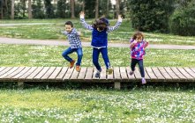 Cheerful children jumping from boardwalk in park — Stock Photo