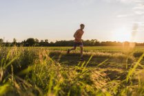 Young man jogging, against the sun — Stock Photo