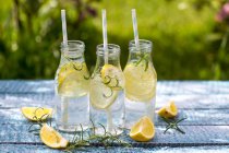 Zitronen- und Rosmarinscheiben in Wasserflaschen, Trinkhalme — Stockfoto
