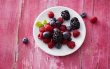 Plate of different wild berries — Stock Photo