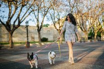 Donna a piedi i suoi due cani — Foto stock