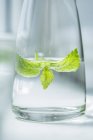 Glass bottle of water flavored with lemon balm — Stock Photo