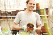 Усміхнений чоловік тримає вазон з Moringa розсади — стокове фото