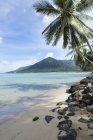 Tailandia, Koh Phangan, palmeras en la playa - foto de stock