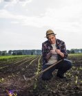 Agricultor en un campo que examina cultivos - foto de stock