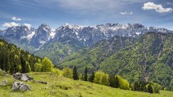 Austria, Tyrol, Alps, Kaisertal, Wilder Kaiser — Stock Photo