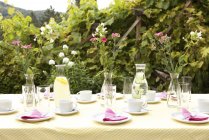 Laid table in garden, decorated for a birthday party — Stock Photo