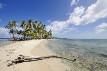 Panamá, Islas San Blas, isla desierta con palmeras - foto de stock