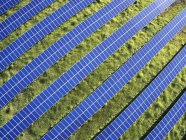 Estados Unidos, Carolina del Norte, Fotografía aérea de bajo nivel de paneles solares en una granja solar - foto de stock