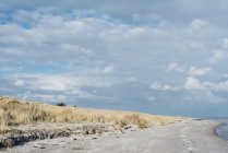 Dinamarca, Hals, dunas y playa durante el día - foto de stock