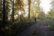 Обратный вид человека, стоящего на лесной тропе осенью — стоковое фото