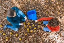 Mother and son collecting sweet chestnuts in forest — Stock Photo
