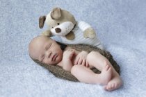 Спящий новорожденный спит завернутый в одеяло с мягкой игрушкой — стоковое фото