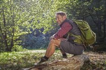 Wanderer sitzt auf Baumstamm im Wald — Stockfoto