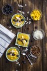 Tazones de batido de mango con mango picado, hojuelas de coco, arándanos y choco crunch - foto de stock
