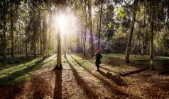 Visão traseira da mulher vestindo chapéu vermelho em pé na clareira da floresta — Fotografia de Stock