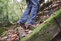 Close-up of legs of hiker stairs up in nature — Stock Photo