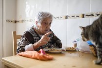 Seniorin sitzt am Esstisch und schimpft auf ihre Katze — Stockfoto