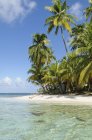 Panama, San Blas Islands, desert island, beach with palms — Stock Photo