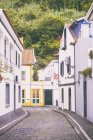 Portugal, pico, allee in lajes do pico — Stockfoto